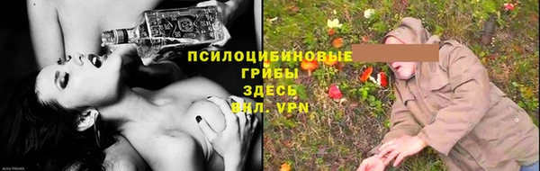 шишки Дмитров