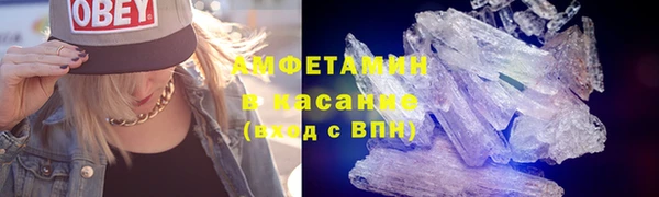 шишки Дмитров