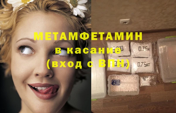 шишки Дмитров