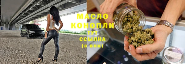 шишки Дмитров