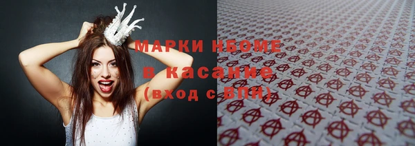шишки Дмитров
