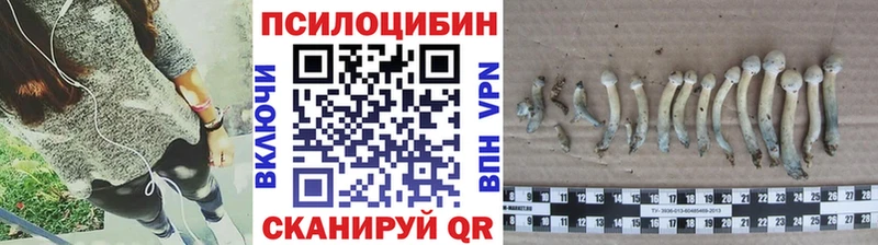 Купить где  Бахчисарай  Галлюциногенные грибы Magic Shrooms 